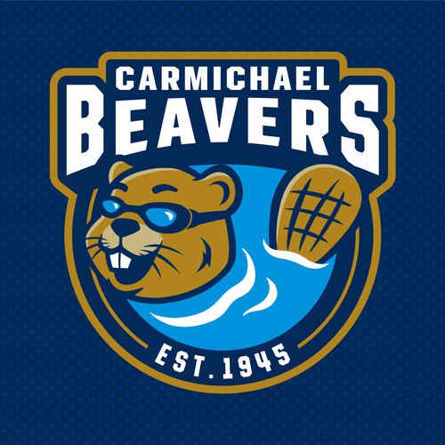 Design a fun and exciting logo for youth swim team! Design by NovianGraphic™