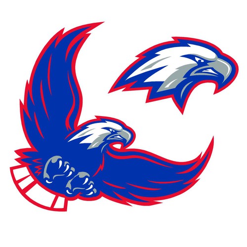 Design an orignal EAGLE mascot for Brazos Christian School Design by fs42158