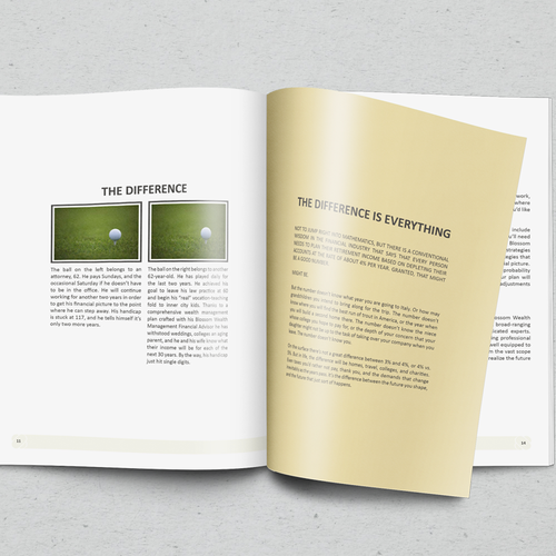 Brochure Redesign from Template for Financial Firm Design by PiezaAngular