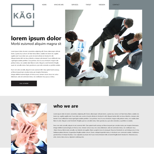 Diseño de página web propuesta en el concurso por AlexCirezaru