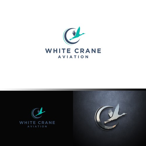 Logo for a Safe and Modern Aircraft rental company Design by ybur10