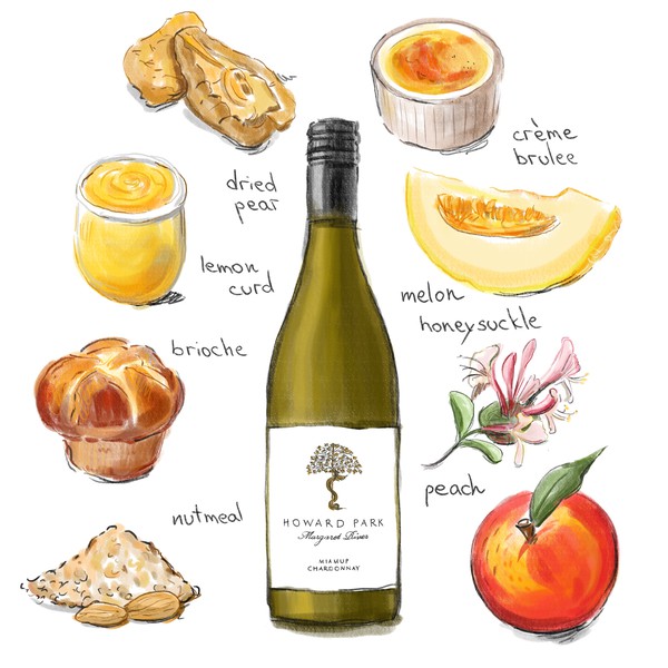 Wine descriptor illustrations