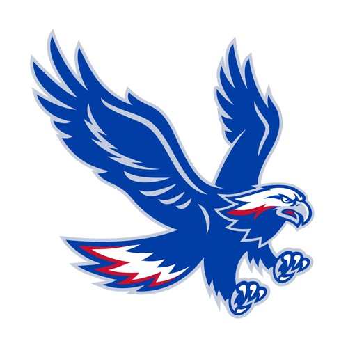 High-Flying Eagle Logo for a High-Performing School District Design by REDPIN