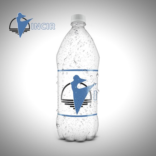 Logotipos propuesta en el concurso por WildCat Design