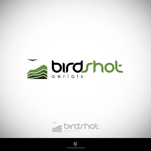 Create a high-flying view for Birdshot Aerials Design by Mastah Killah 187