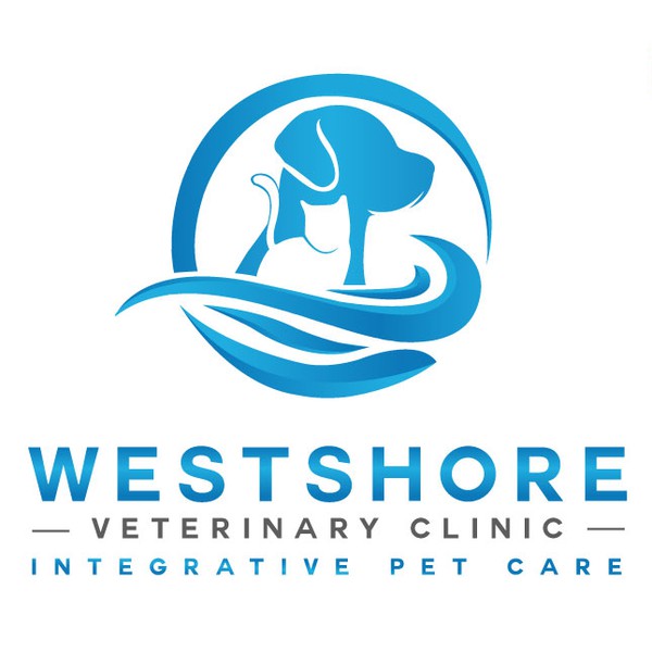 Design realizzato da noa2011 intitolato "animal hospital"