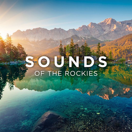 Nature Sounds Producer requesting Album Cover Art Design by Xnine