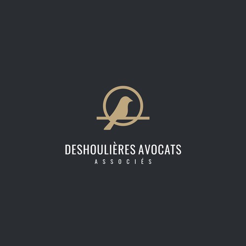 Logo design contest entry by bisbidesign