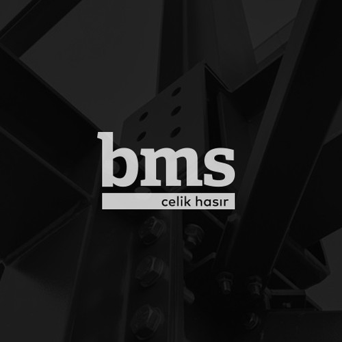 Design the logo of an exporting steel mesh company Design by choxs design