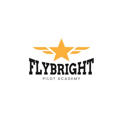 Flight School - High quality career track and recreational flight training. Design by Kamran.Ali