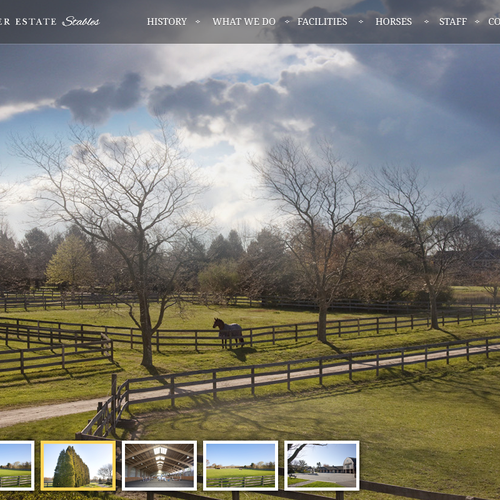Web page design contest entry by André Revin