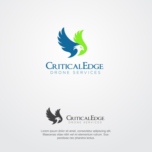 We need a logo design for new Drone inspection and survey company Design by hasnagraphics