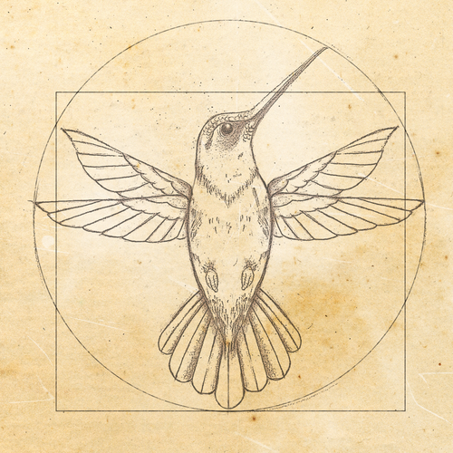 Leonardo da Vinci - Hummingbird Drawing Réalisé par JOHNN L. JONES