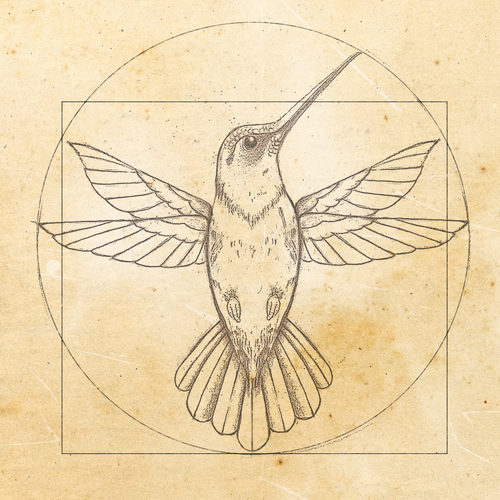 Design di Leonardo da Vinci - Hummingbird Drawing di JOHNN L. JONES