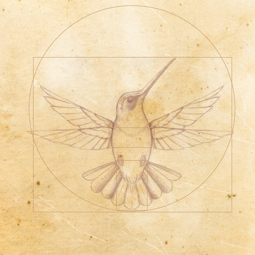Design di Leonardo da Vinci - Hummingbird Drawing di JOHNN L. JONES