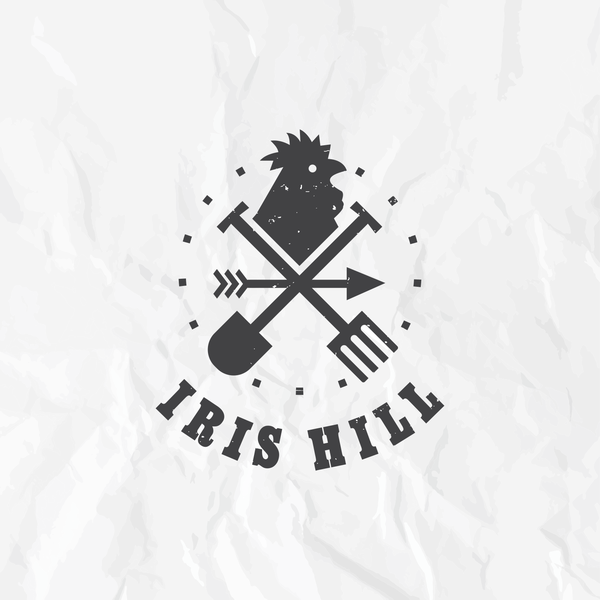 Design by pirateZ titled "fram"