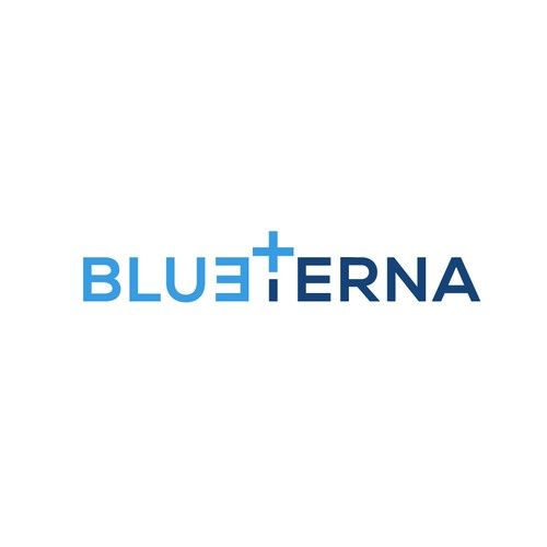 Blueterna Branding contest Design by Imam H.