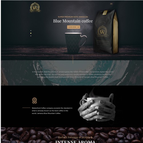 Web page design contest entry by gotza