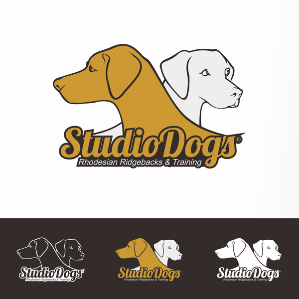 It's dog it's studio