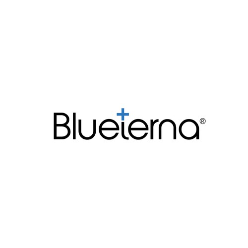 Blueterna Branding contest Design by Imam H.
