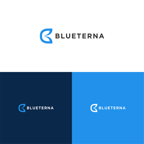 Blueterna Branding contest Design by Nirlinadi