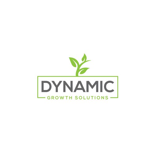 Dynamic Growth Solutions Design by design canvas