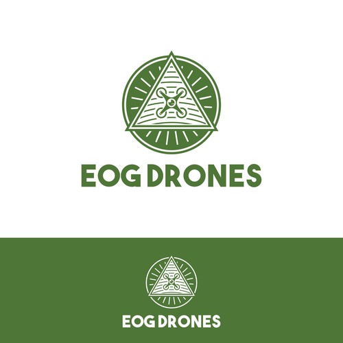 Custom Drone Company Logo Design by danieltriyasa