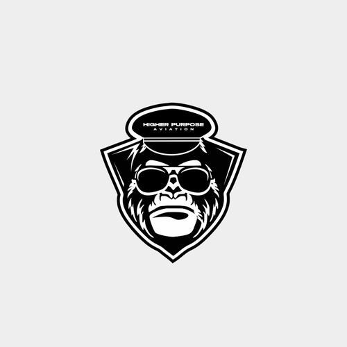 Higher Purpose Aviation Design by Rockzdezgn™