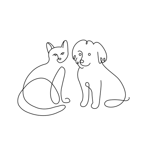 black and white dog and cat pictures