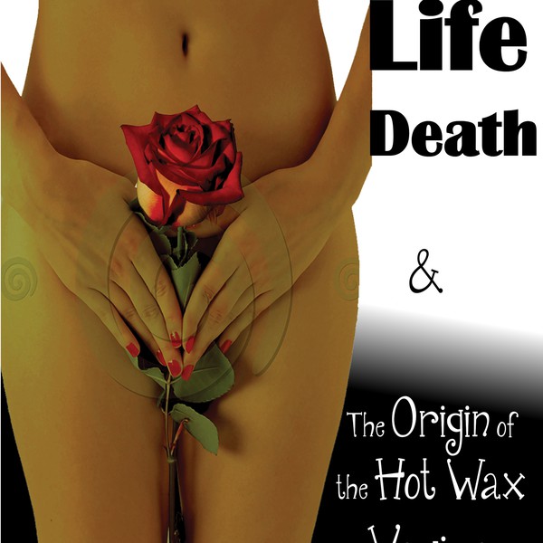 Life, Death and The Origin of the Hot Wax Vagina:  Facts & Fairytales for the Hereafter needs a new book or magazine cov