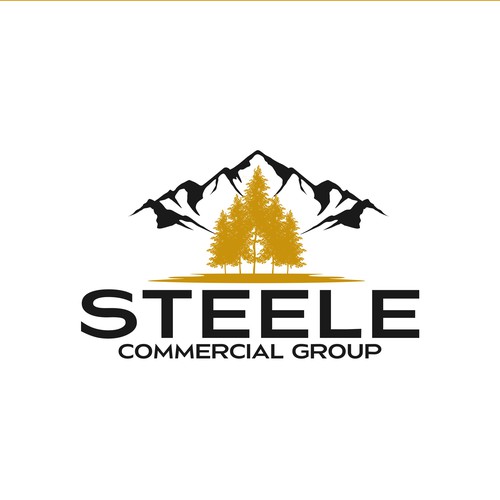 Steele Commercial Group Design by Fast Studio⚡