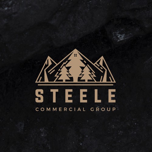 Steele Commercial Group Design by aswaseta