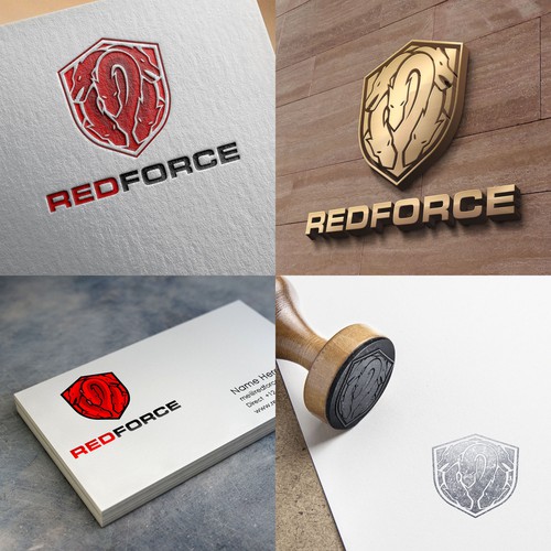 Designing a Logo for an Information Security Company Design von RayyaNamira