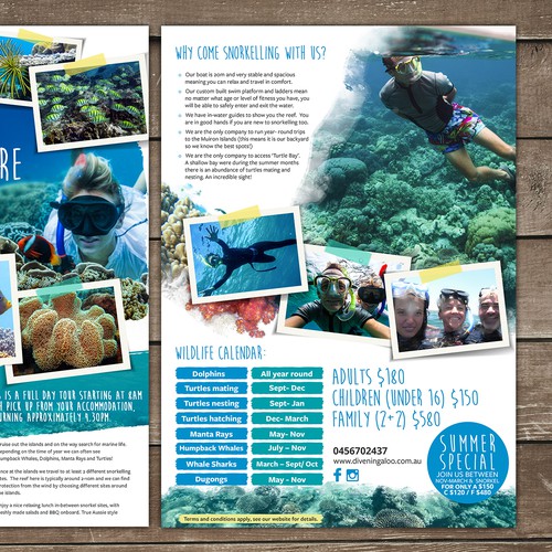 Design an eye catching flyer for snorkel tours on the Ningaloo Reef! Design by Silvia Jordanova