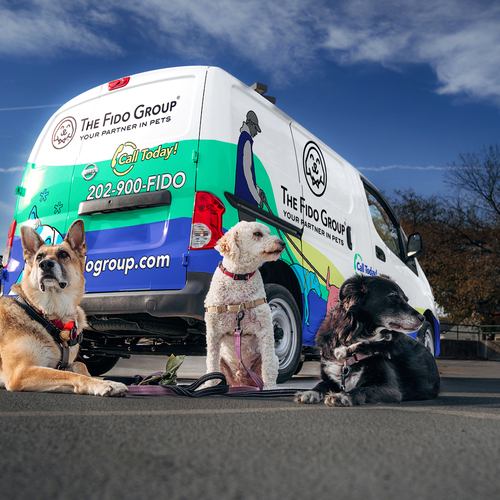 Sleek & simple van wrapping images for Google My Business Design by Art Mahno ✔