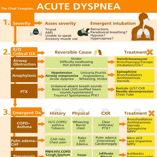 Infographic/Algorithm for ER doctors to improve patient care Design by HideSell