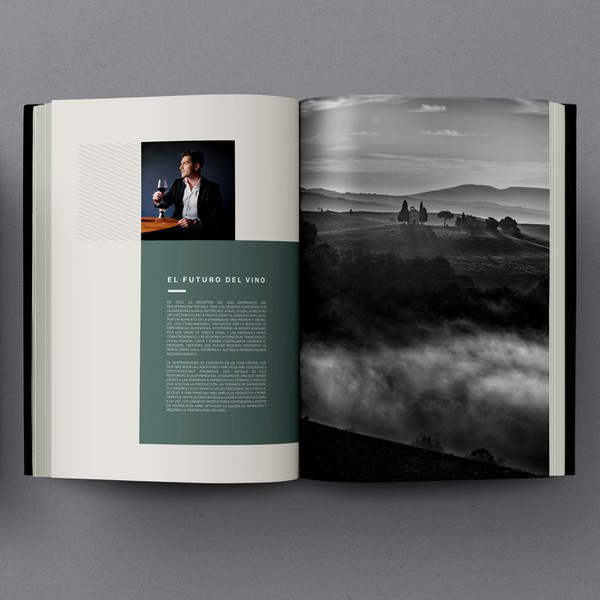 Editorial design for an annual report about the wine industry