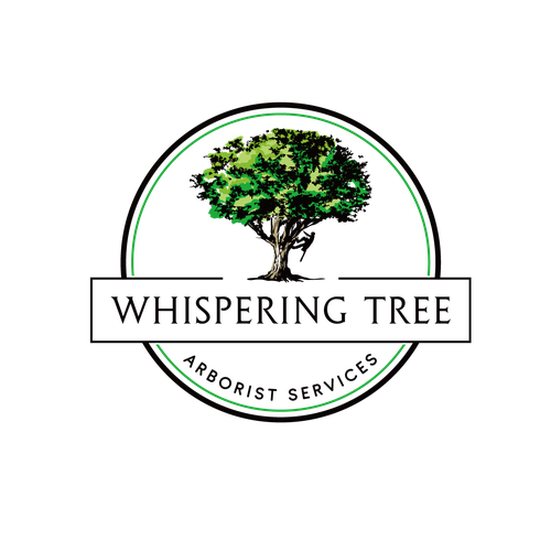 Arborist Company Needs Tree Logo Design by Him.wibisono51