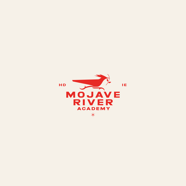 Roadrunner Bird Logo AVAILABLE FOR SALE