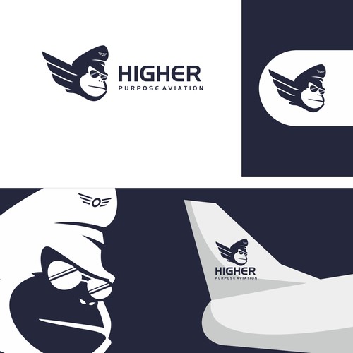 Higher Purpose Aviation Design by Koi_putih