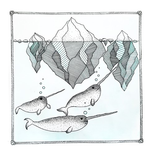 Narwhal artwork design Design by FlavioDP