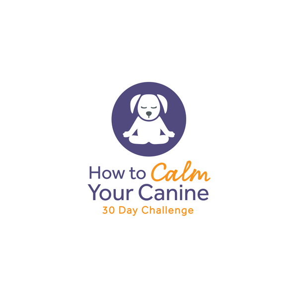 Helping dogs with anxiety and behavioral problems