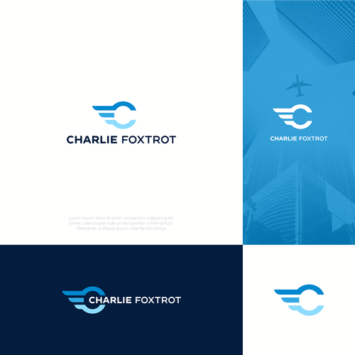 Aviation Company LOGO Design by ceng_cengpo