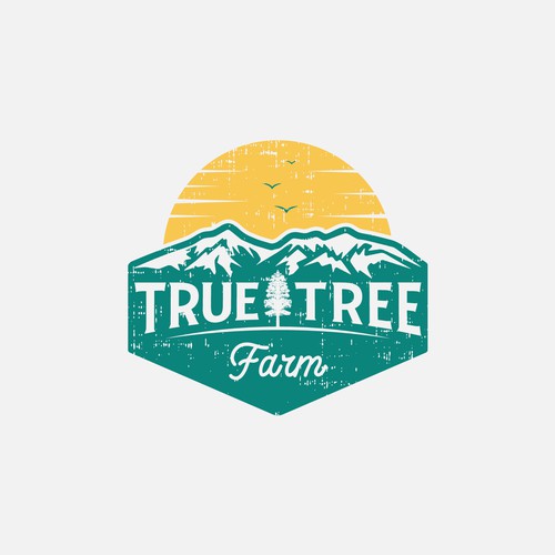 Organic logo for high elevation tree farm in Arizona. Design by minimalab