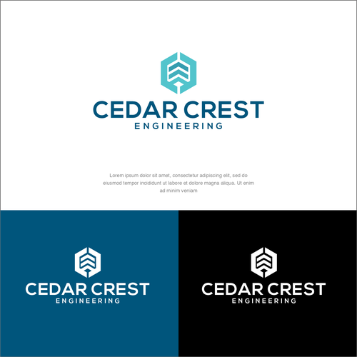 Design a Modern layered logo for a civil engineering company Design by Elesense