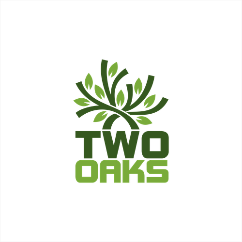 Construction, 3 business owners, use the work TWO oaks in our logo , very bold and intense  graphic Design by JuaraLogo™