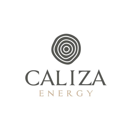 Energy startup Logo to impress investors and early employees Design by FreehubCo™