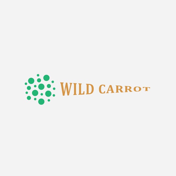 Wild Carrot