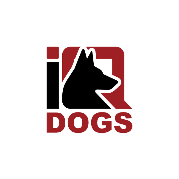 iq dog