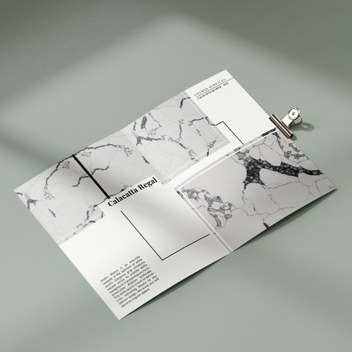 Design an elegant catalog for a high end product line Design by HeloMG